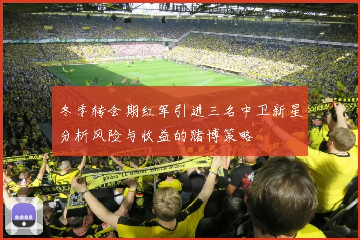 冬季转会期红军引进三名中卫新星分析风险与收益的赌博策略