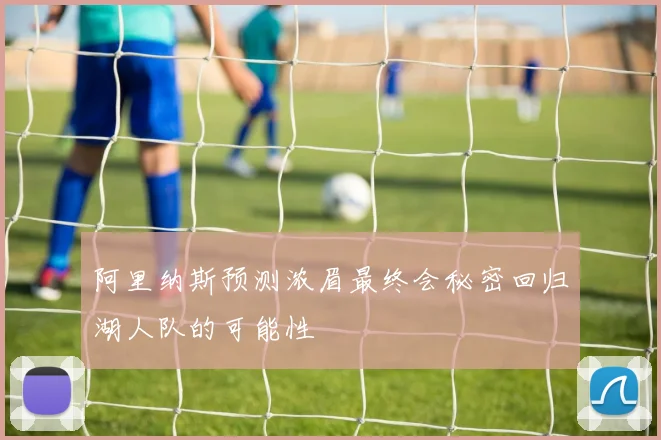 阿里纳斯预测浓眉最终会秘密回归湖人队的可能性
